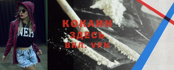 меф Новодвинск