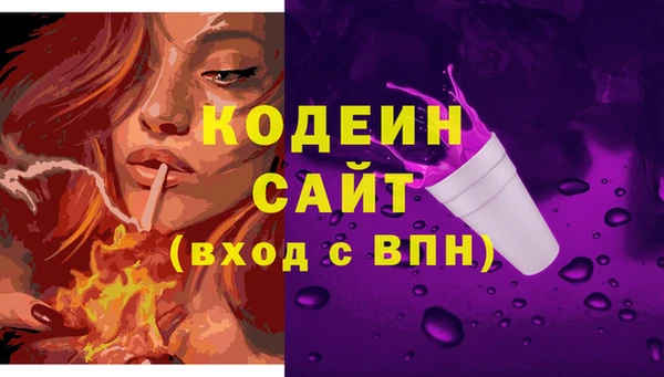 соль ск Арсеньев